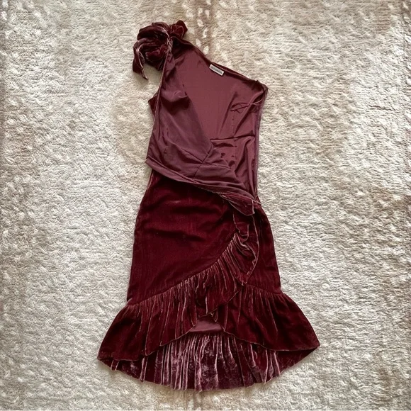 Ulla Johnson Elisa One Shoulder Bow Velvet Midi Dress Puce Dark Cherry Red Sz 4 - Picture 4 of 14